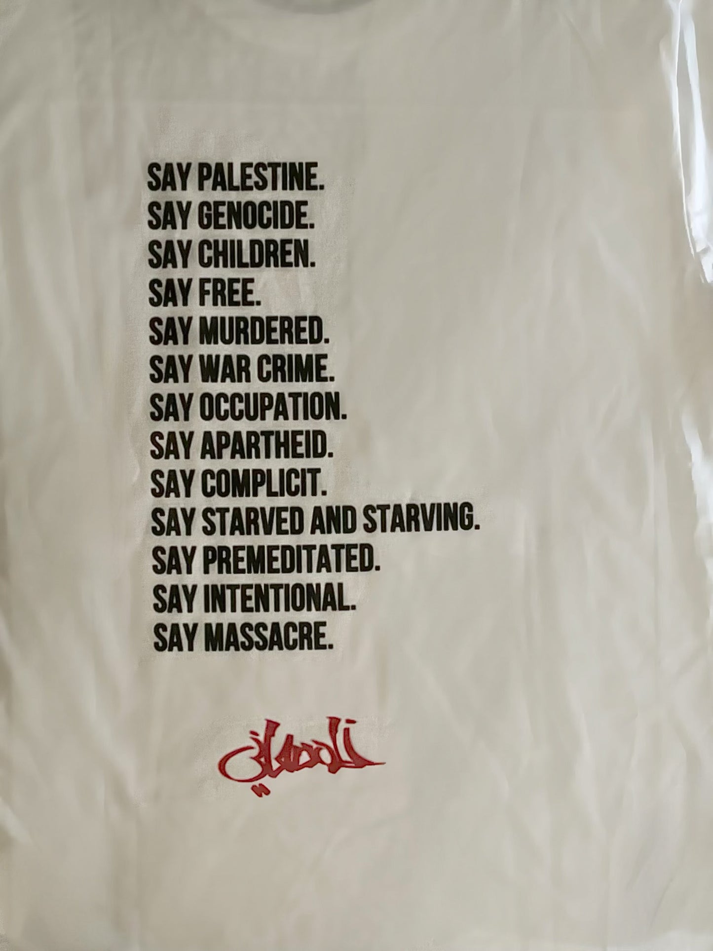 T-shirt PALESTINE